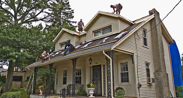 Best Roof Gutter Cleaning  in Gig Harbor, WA